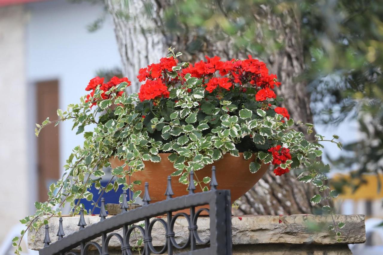Mediterranean Village San Antonio 3* Biograd Na Moru